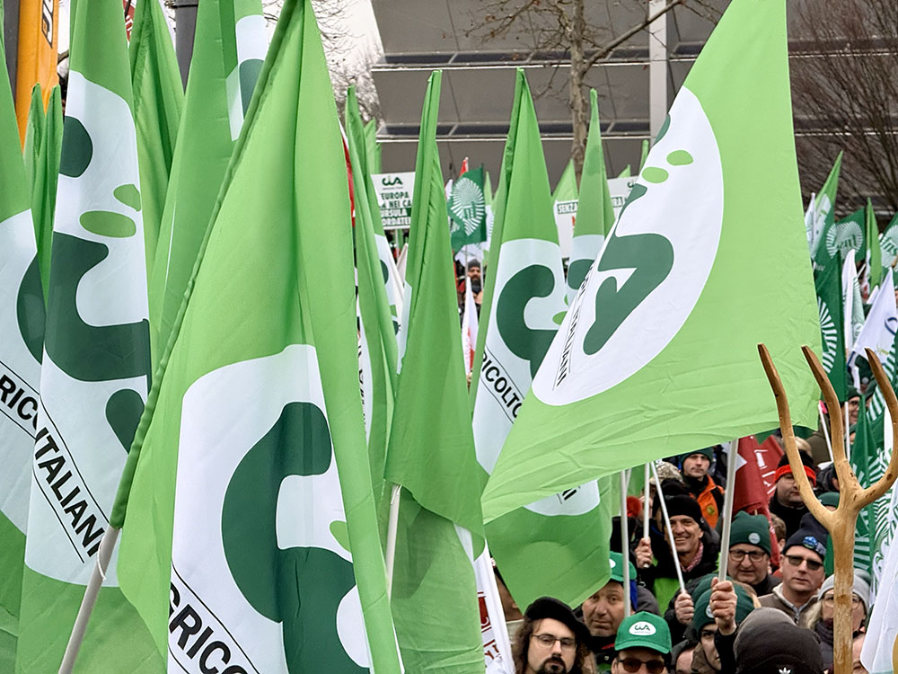 Manifestazione-Cia-20-gen_Strasburgo_11