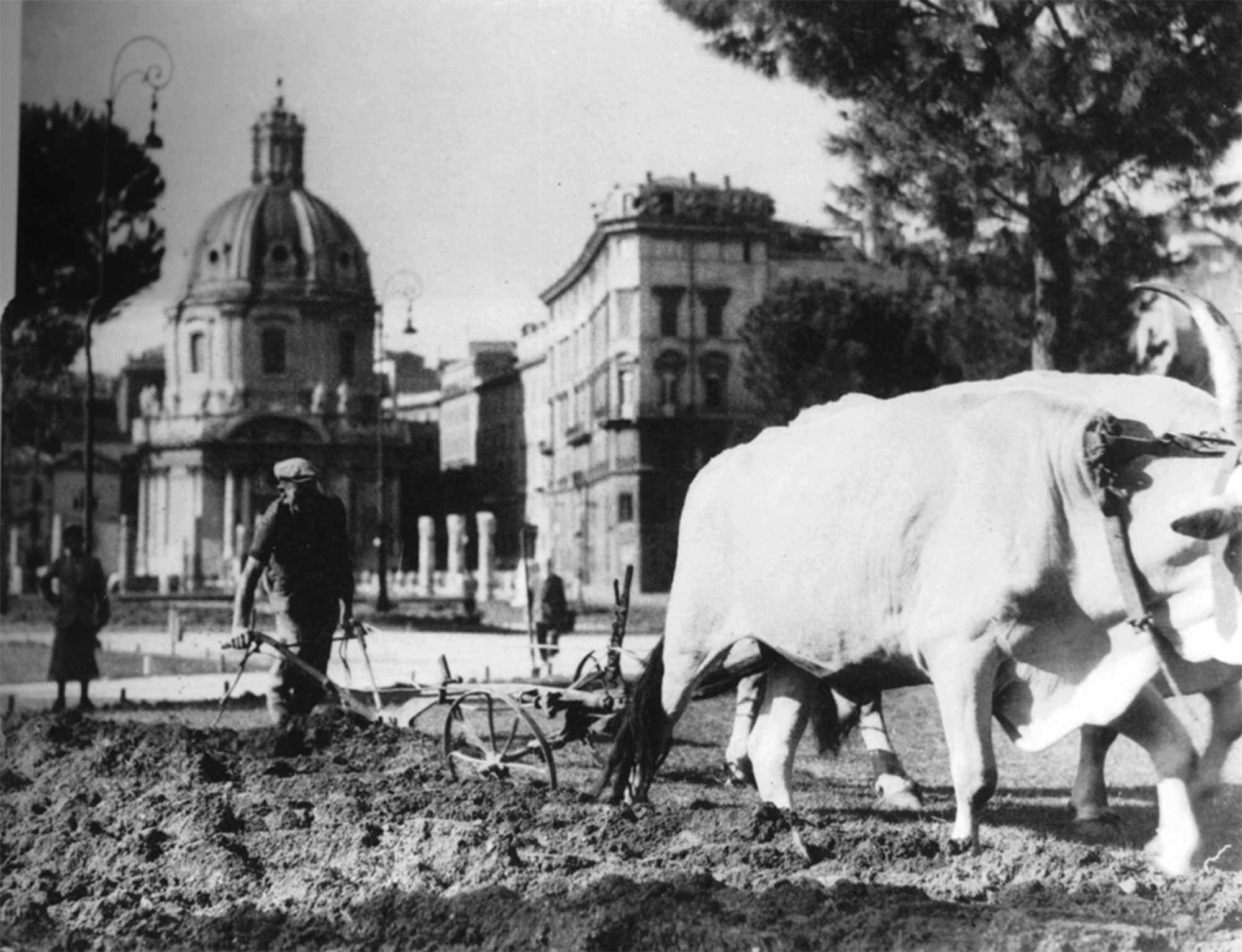 Orti_Piazza-Venezia_anni-'40.jpg