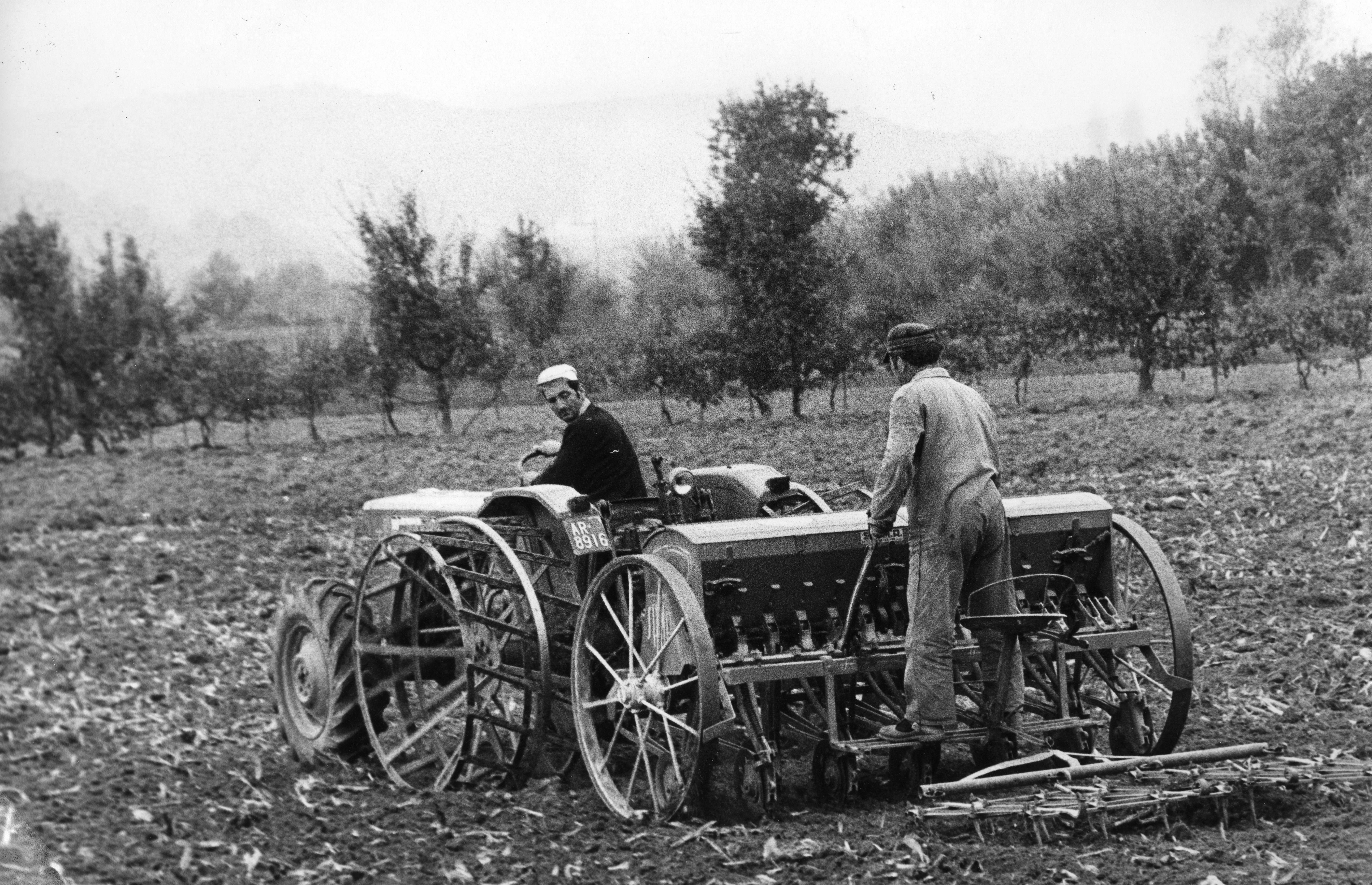 Semina mais_Arezzo_anni '80.jpg