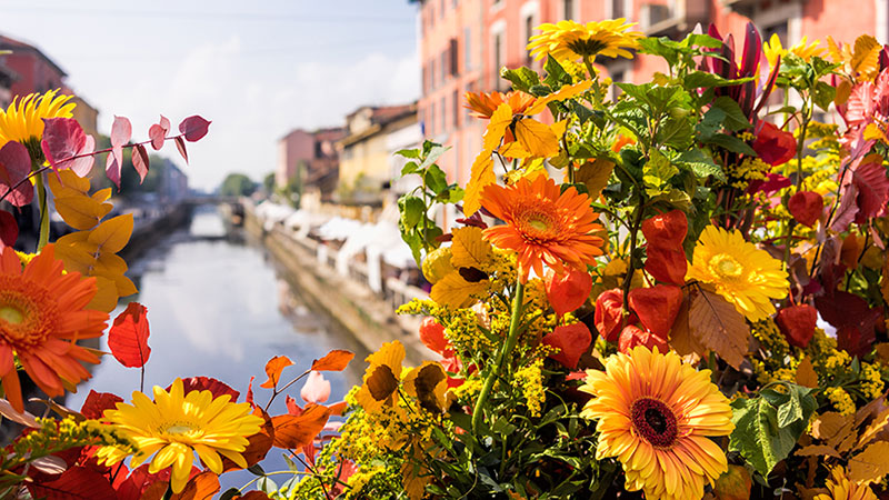Fiori_Navigli_123057613.jpg