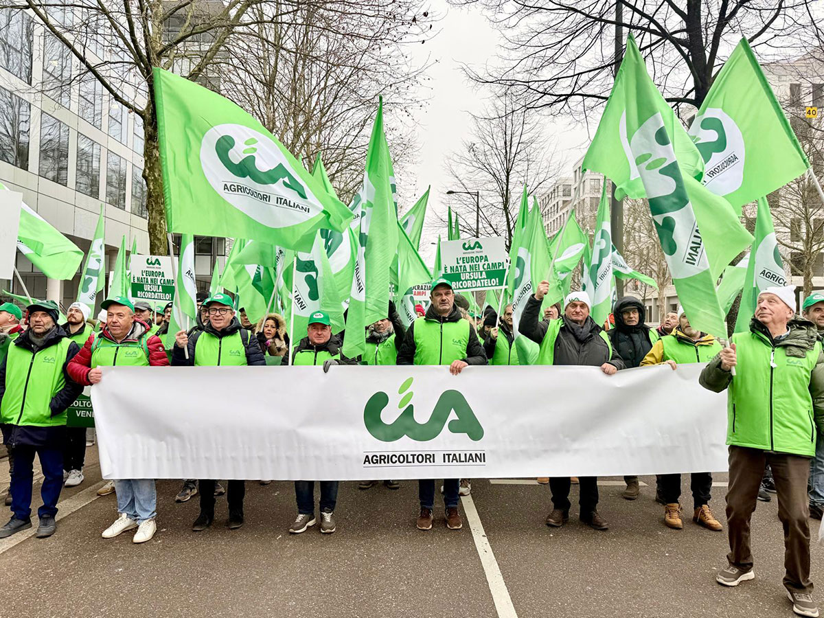 Manifestazione-Cia-20-gen.-Strasburgo_1