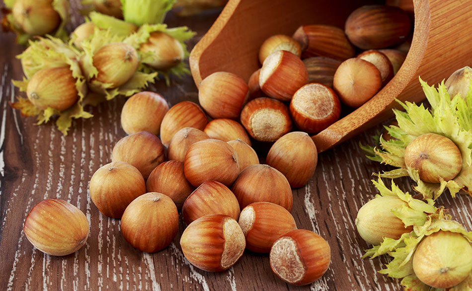 nocciole_126086337.jpg