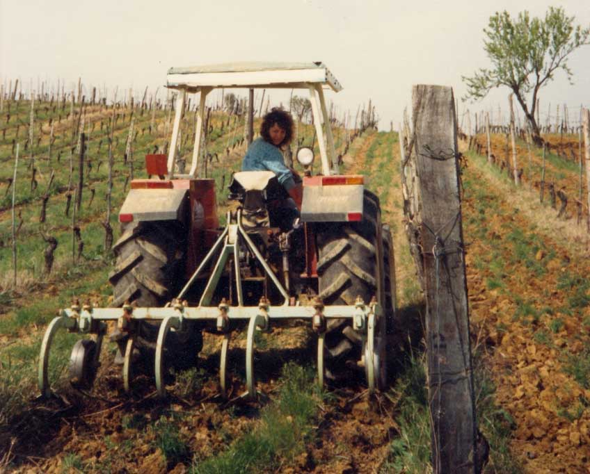 Lavorazione-vigneto_anni-'80_Lazio.jpg
