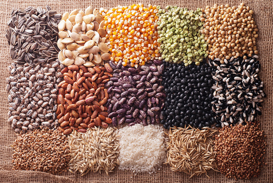 legumi-e-cereali_72968744.jpg