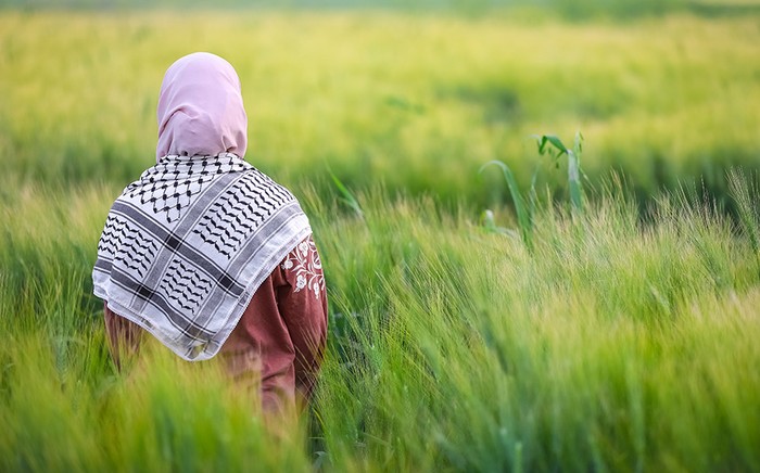 Cia condanna con fermezza aggressioni ad agricoltori palestinesi