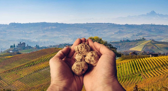 Cia Cuneo: piante di tartufo in dono ad agricoltori per salvaguardia territorio