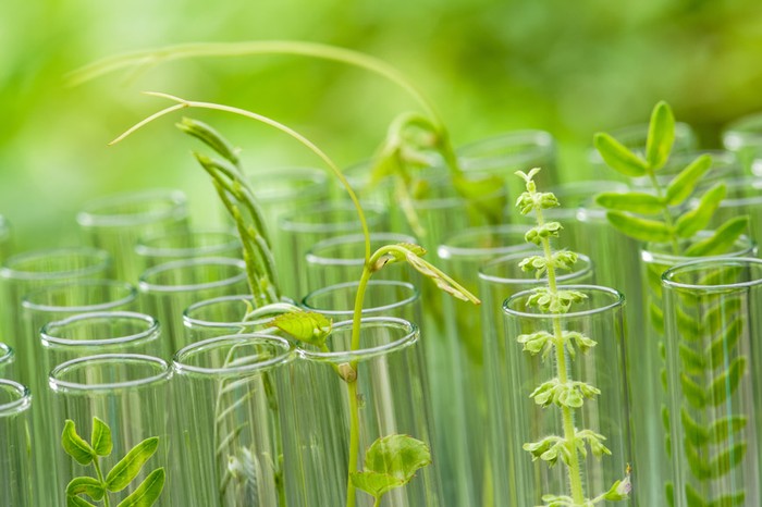 La filiera agroalimentare compatta nel sostegno alle TEA