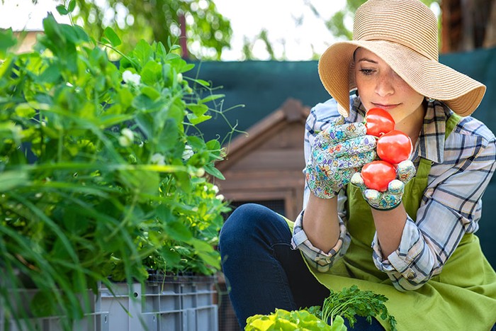 Donne in Campo-Cia Basilicata: alla presidente La Rocca il premio Agricoltore Custode 2024