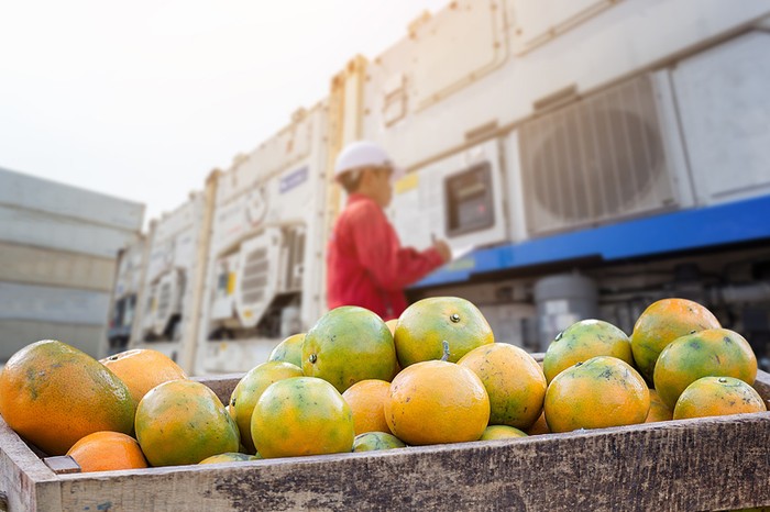 Dazi: Cia Calabria, a rischio il 42% dell'agroalimentare di Catanzaro esportato in America