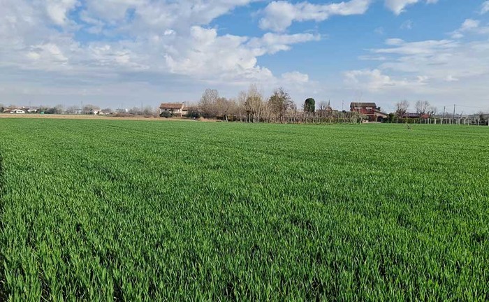 Cia Padova: annata agraria con tante ombre