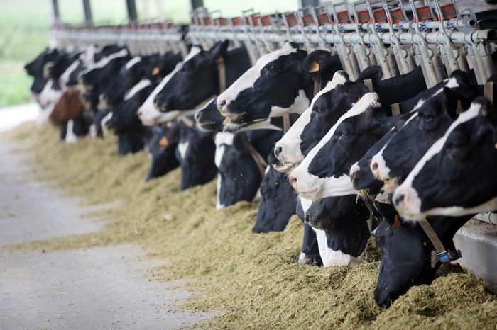 Cia Cuneo: biogas e biometano rilanciano opportunità aziende zootecniche