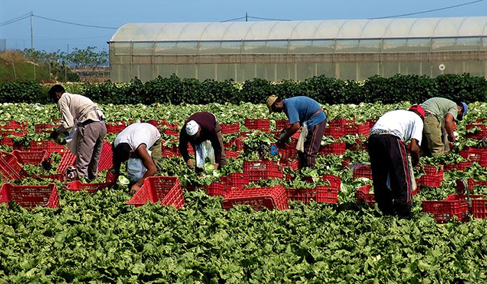 Cia Sicilia Sud-Est: Ostello di Cassibile modello di inclusione sociale