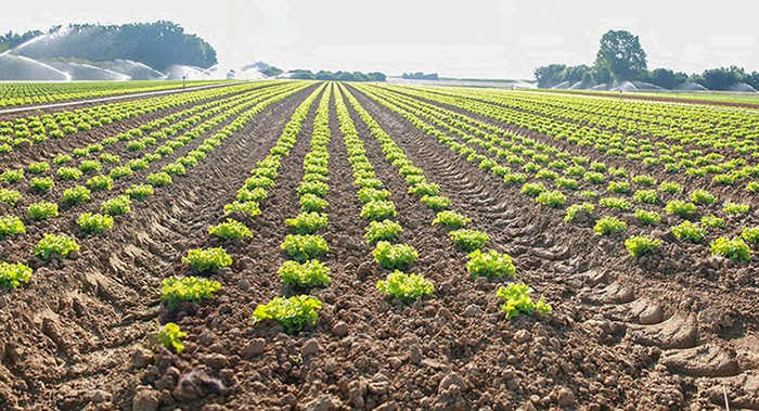 Eletti i nuovi presidenti delle sedi zonali di Cia Romagna