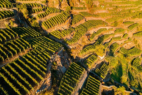Cia Alta Lombardia inaugura la nuova sede di Appiano Gentile