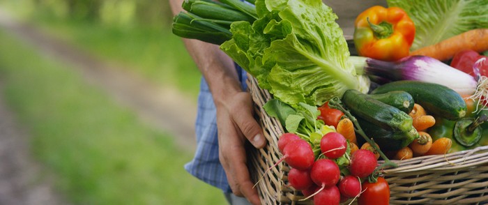 Cia Padova: aumenta inflazione, ma diminuiscono i guadagni per agricoltori