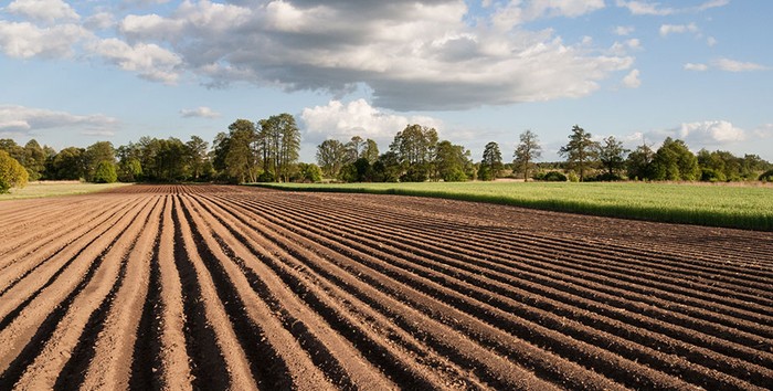 Cia Campania: stop a impianti industriali in aree Docg e revisione Piano Natura 2000