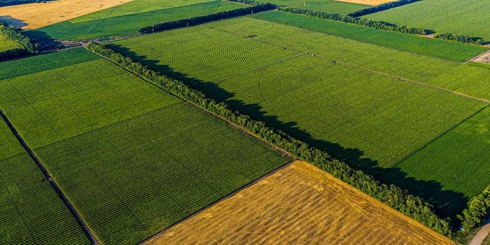 Cia Romagna: presentata l'annata agraria 2024
