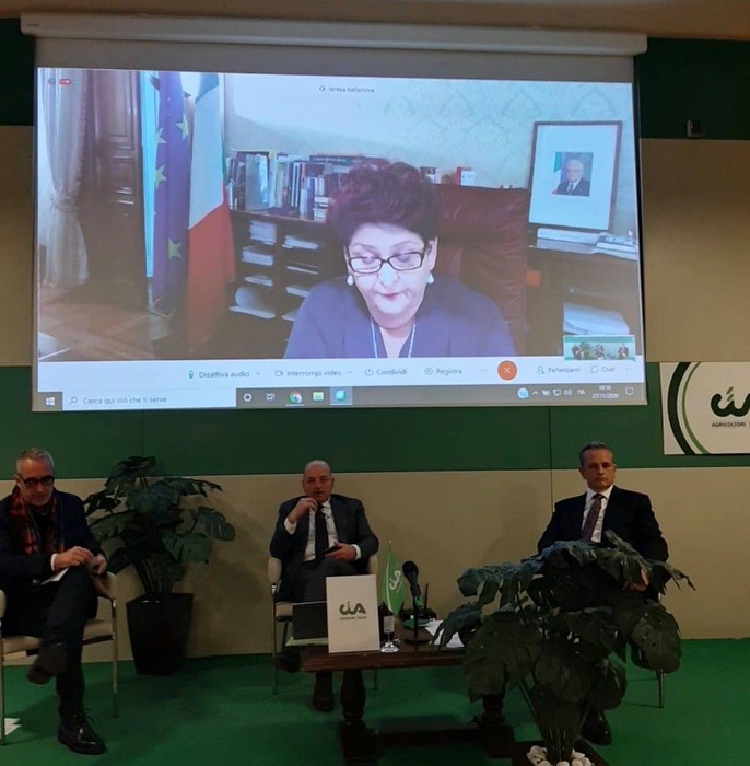 Legge Bilancio: Bellanova ad Assemblea Cia, oltre 1 mld per agricoltura