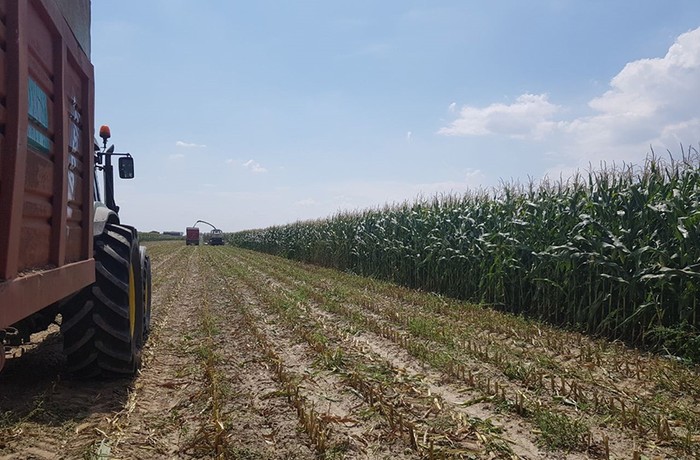 Cia Padova: annata agraria tra crisi climatiche e aumento dei costi