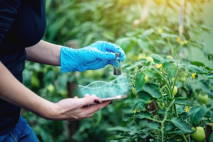 Nuove tecniche genomiche: Cia, con intesa odierna, stop a equivoci. Svolta storica per agricoltura