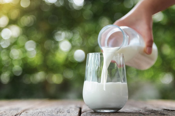 Latte: Cia Padova, giù il prezzo. A rischio 400 allevamenti dell'Alta