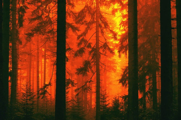 Incendi: approvato il decreto per rafforzare prevenzione e contrasto dei roghi