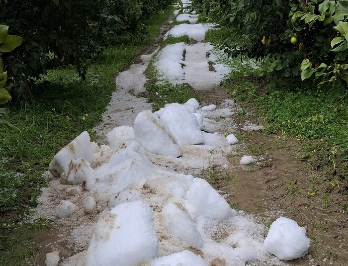 Maltempo: Cia Calabria Nord al fianco degli agricoltori colpiti da violente grandinate