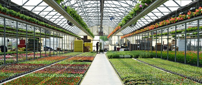 Cia Cuneo a Expoflora Fossano. Obiettivo: condividere l'importanza del comparto lungo la filiera