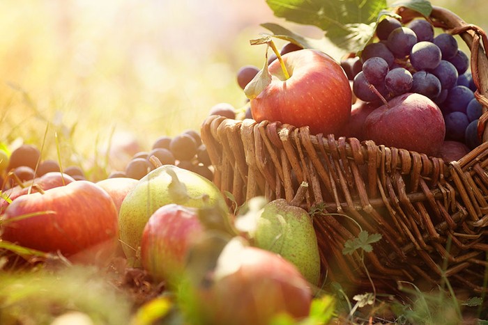 Cia Padova: negli ultimi 10 anni produzione frutta cala di un terzo