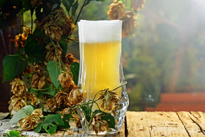 Cia Cuneo: per birra agricola e artigianale stesse opportunità del vino