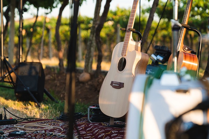 Collisioni e Anima Festival: Cia Cuneo, la musica in campagna è un evento agricolo