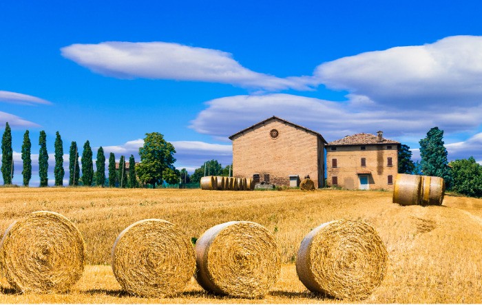 Elezioni: Cia Toscana lancia il suo documento per il futuro dell’agricoltura