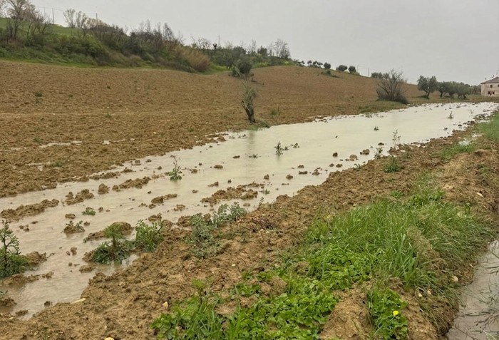 Cia Chieti-Pescara: agricoltura a rischio collasso tra gelate e allagamenti