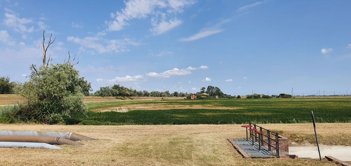 Cia Rovigo: allarme siccità, nel Delta del Po è già crisi idrica