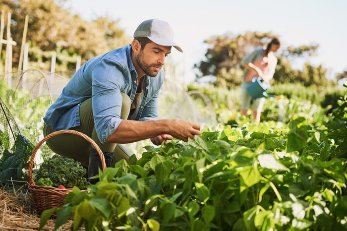 Caldo: Cia Emilia-Romagna, coniugare tutela salute lavoratori ed esigenze imprese agricole