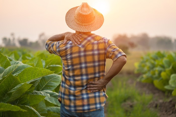 Inac-Cia: nel 2022 oltre 10.000 agricoltori con patologie da lavoro nei campi