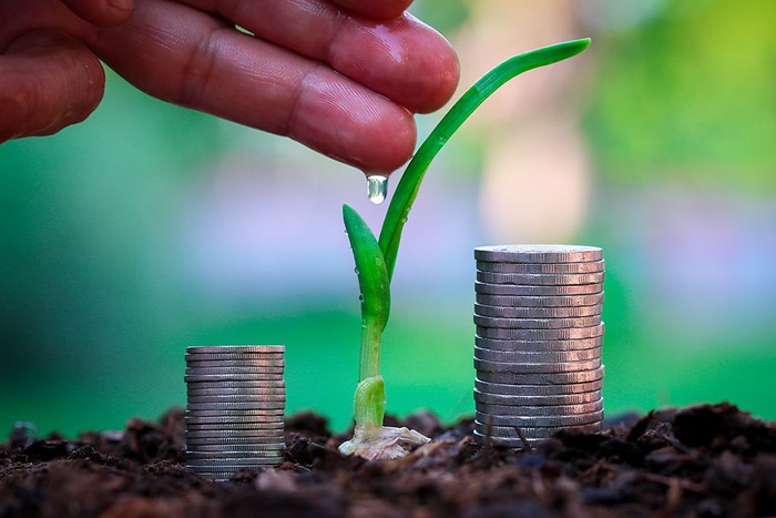 Cia Abruzzo: credito agricolo in calo. Investimenti a -12%