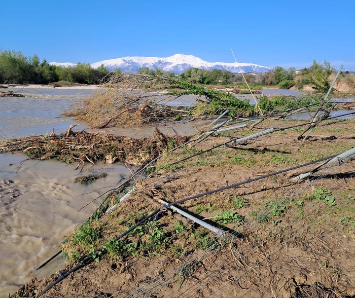 Maltempo: Cia Chieti-Pescara, al via la conta dei danni. Agricoltura in forte sofferenza