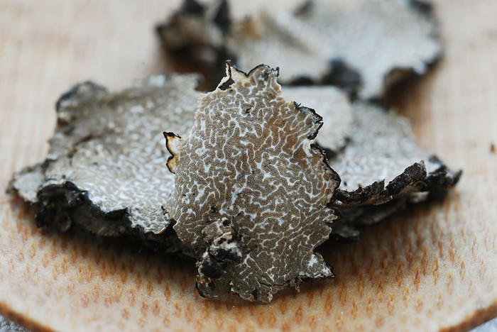 Cia Cuneo: con il tartufo nero di Roddino boschi e verde urbano una sfida multi-settore