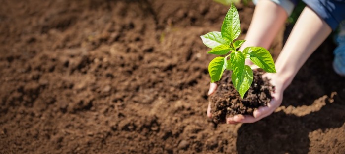 Cia Padova: un fermo no al consumo di suolo