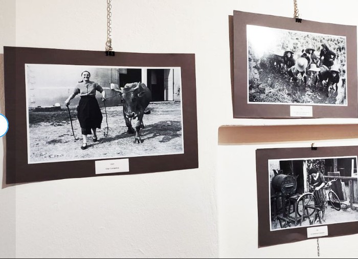 L’8 marzo ad Alassio: una giornata dedicata alla forza e alla storia delle donne