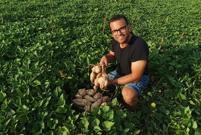 Cia Padova: per patata dolce di Anguillara resa in calo, ma qualità resta ottima