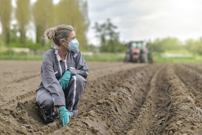 Covid: la ricetta di Cia per "riprogettare il futuro" con l’agricoltura al centro