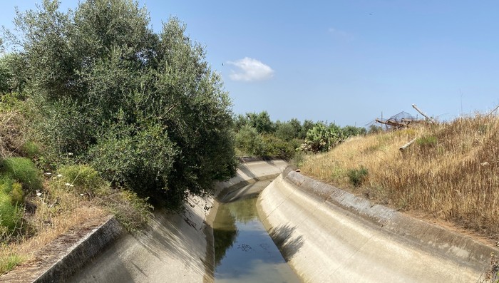 Cia Puglia: Diga di San Giuliano. A Palagianello canali a secco e uva a rischio