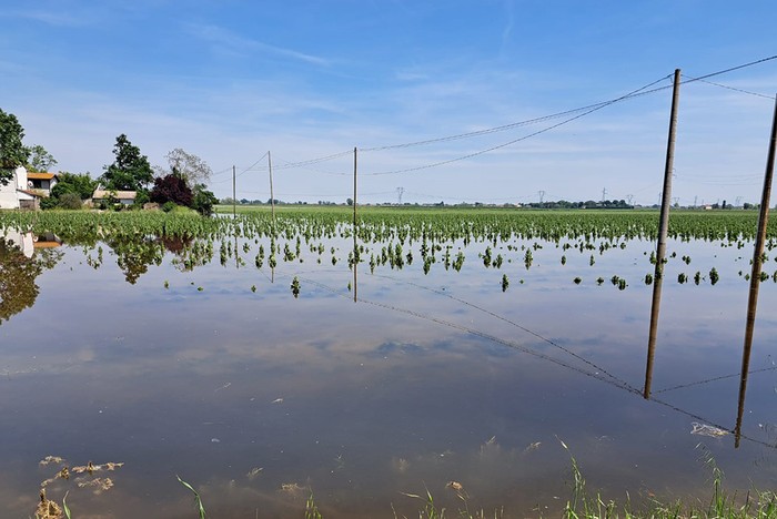 Alluvione: Cia Piemonte, servono misure straordinarie e un piano di prevenzione