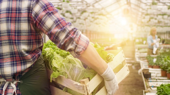 Caldo: Cia Emilia-Romagna, coniugare tutela salute lavoratori ed esigenze imprese agricole