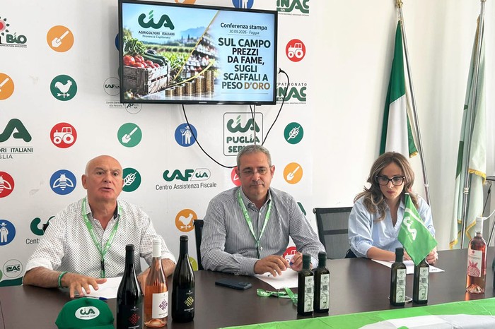 Agricoltura: Cia Capitanata, sul campo prezzi da fame e sugli scaffali a peso d’oro