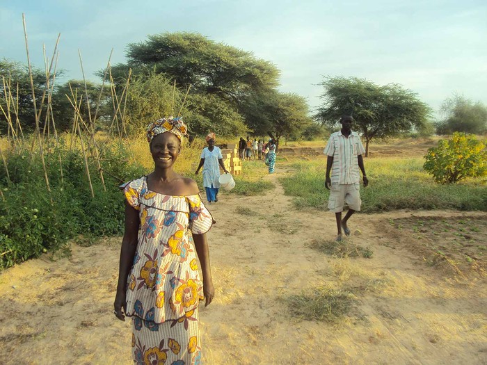 Il Veneto con ASeS-Cia per il progetto TRASFORMA in Mozambico