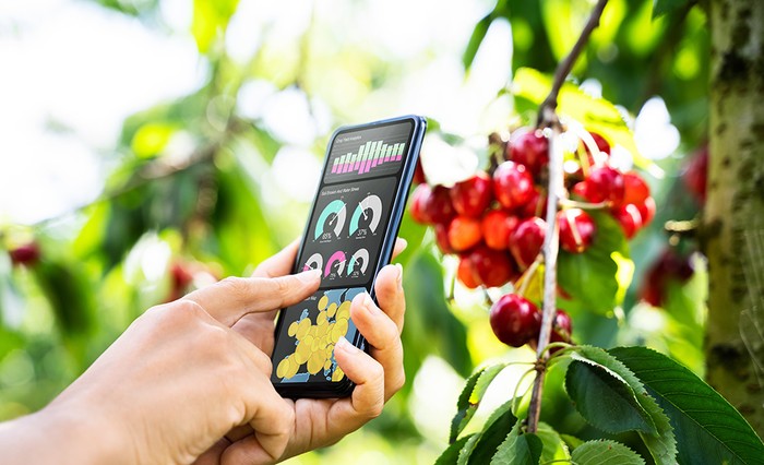 Macfrut: Cia, a competitività settore serve ottimizzazione acqua e suolo