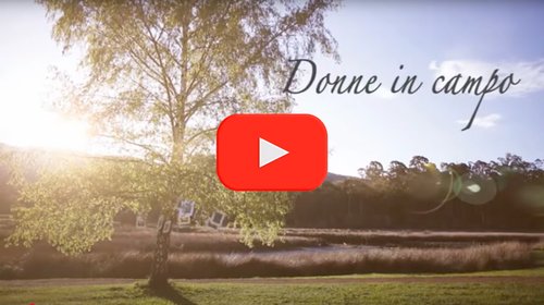 cover Video DiC.png